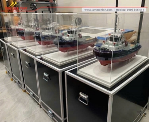 l&agrave;m m&ocirc; h&igrave;nh t&agrave;u triển l&atilde;m